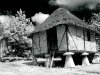 sheldon-manor-store