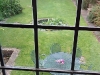 West Wing view over garden